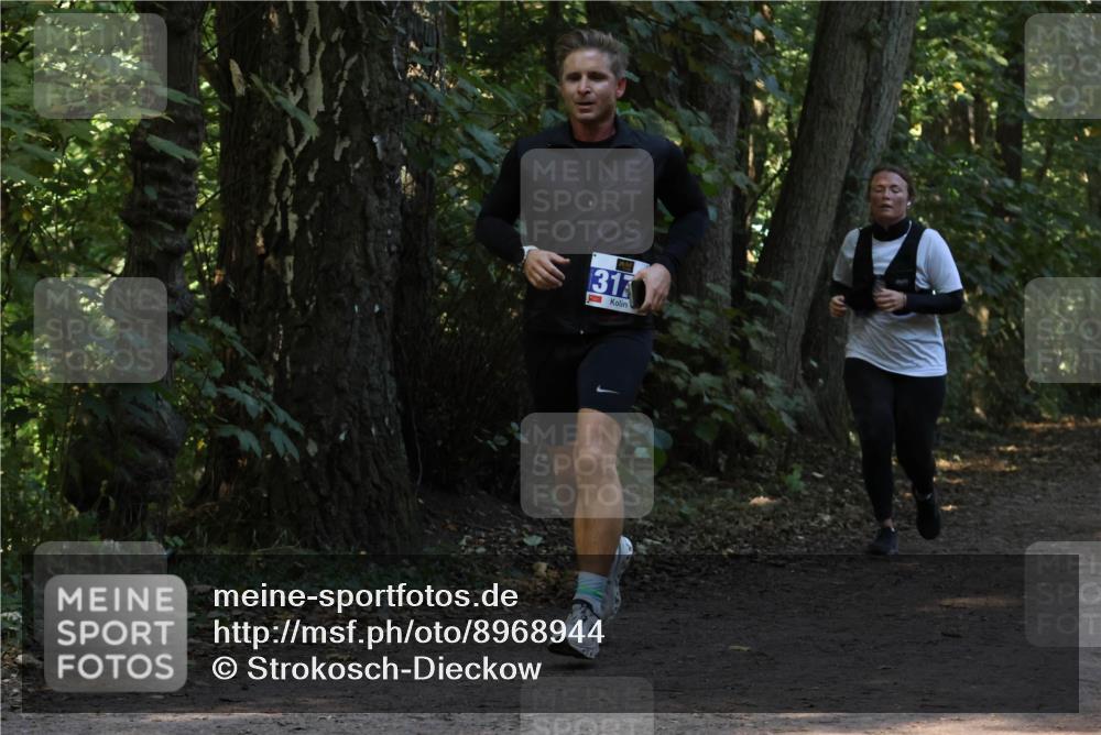 28.09.2025 - 33. Volkslauf durch das schöne Alstertal Strokosch-Dieckow http://msf.ph/oto/8968944 28.09.2025 11:19:24 Laufen 31 meine-sportfotos.de
