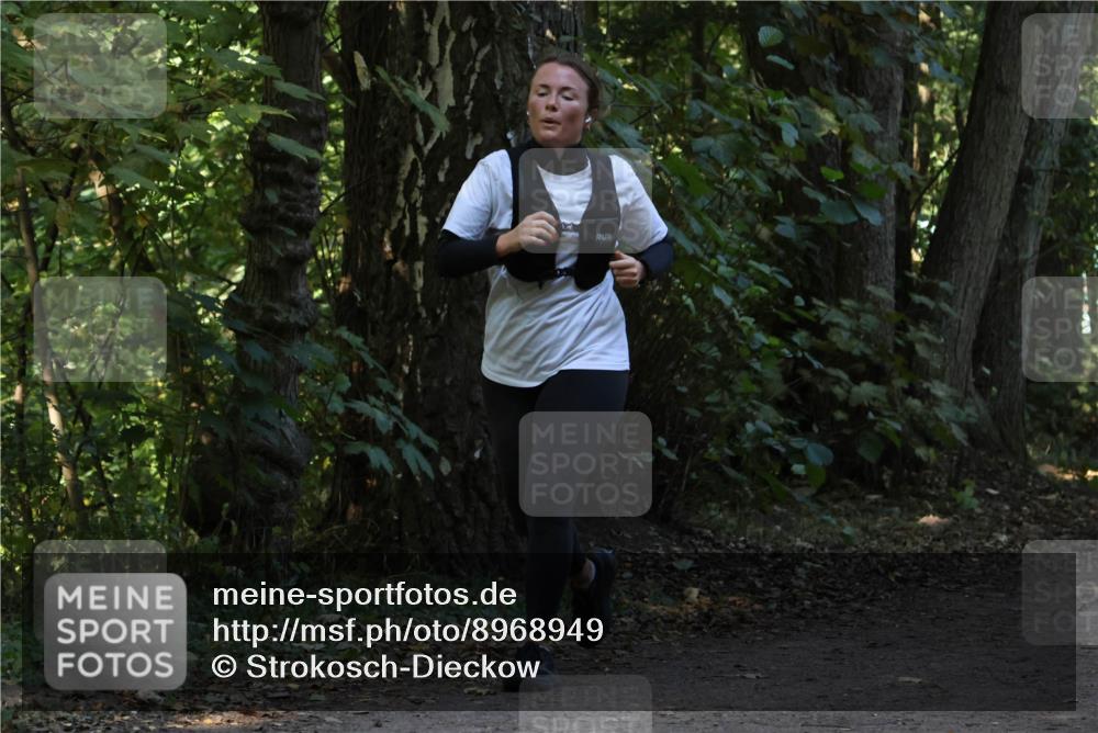 28.09.2025 - 33. Volkslauf durch das schöne Alstertal Strokosch-Dieckow http://msf.ph/oto/8968949 28.09.2025 11:19:26 Laufen  meine-sportfotos.de