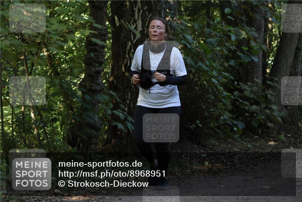 28.09.2025 - 33. Volkslauf durch das schöne Alstertal Strokosch-Dieckow http://msf.ph/oto/8968951 28.09.2025 11:19:26 Laufen  meine-sportfotos.de