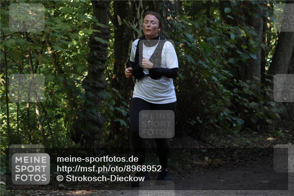 28.09.2025 - 33. Volkslauf durch das schöne Alstertal Strokosch-Dieckow http://msf.ph/oto/8968952 28.09.2025 11:19:26 Laufen  meine-sportfotos.de