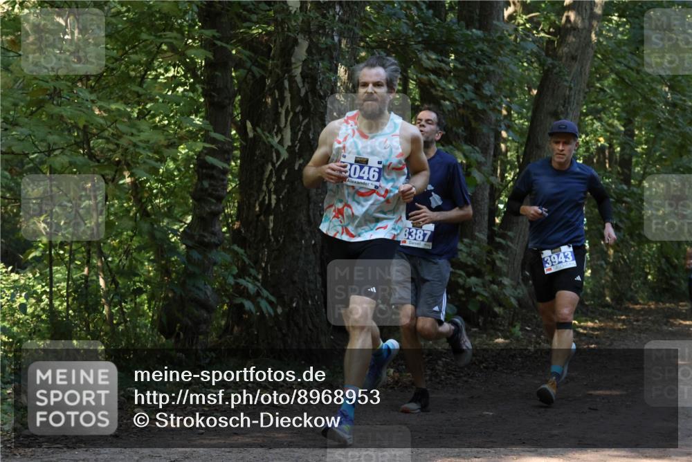 28.09.2025 - 33. Volkslauf durch das schöne Alstertal Strokosch-Dieckow http://msf.ph/oto/8968953 28.09.2025 11:19:31 Laufen 3046, 8387, 3943 meine-sportfotos.de