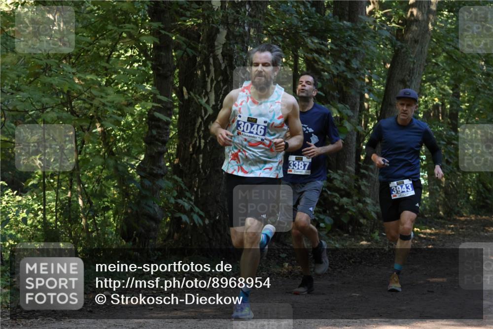 28.09.2025 - 33. Volkslauf durch das schöne Alstertal Strokosch-Dieckow http://msf.ph/oto/8968954 28.09.2025 11:19:31 Laufen 3046, 3387, 3943 meine-sportfotos.de