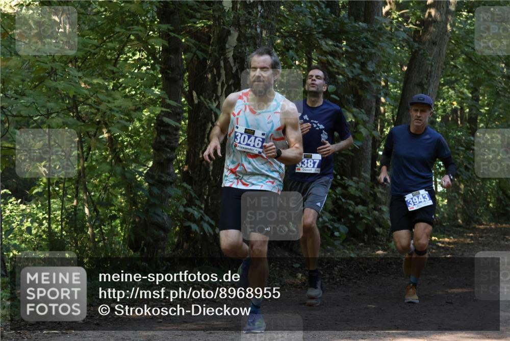 28.09.2025 - 33. Volkslauf durch das schöne Alstertal Strokosch-Dieckow http://msf.ph/oto/8968955 28.09.2025 11:19:31 Laufen 3046, 387, 3943 meine-sportfotos.de