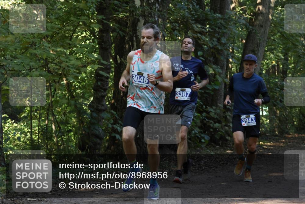 28.09.2025 - 33. Volkslauf durch das schöne Alstertal Strokosch-Dieckow http://msf.ph/oto/8968956 28.09.2025 11:19:31 Laufen 3046, 3387, 3943 meine-sportfotos.de