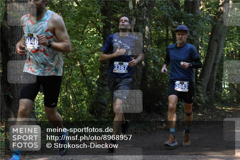 28.09.2025 - 33. Volkslauf durch das schöne Alstertal Strokosch-Dieckow http://msf.ph/oto/8968957 28.09.2025 11:19:32 Laufen 3046, 3387, 3943 meine-sportfotos.de