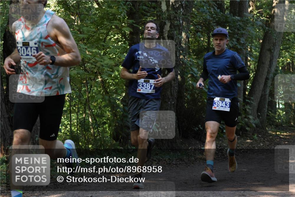 28.09.2025 - 33. Volkslauf durch das schöne Alstertal Strokosch-Dieckow http://msf.ph/oto/8968958 28.09.2025 11:19:32 Laufen 3046, 3387, 3943 meine-sportfotos.de