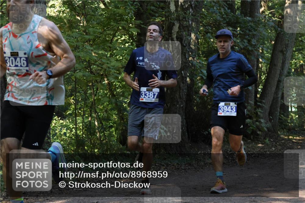 28.09.2025 - 33. Volkslauf durch das schöne Alstertal Strokosch-Dieckow http://msf.ph/oto/8968959 28.09.2025 11:19:32 Laufen 3046, 3387, 3943 meine-sportfotos.de
