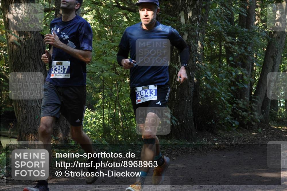 28.09.2025 - 33. Volkslauf durch das schöne Alstertal Strokosch-Dieckow http://msf.ph/oto/8968963 28.09.2025 11:19:33 Laufen 3387, 3943 meine-sportfotos.de