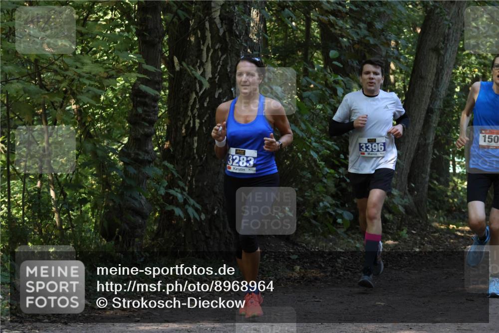 28.09.2025 - 33. Volkslauf durch das schöne Alstertal Strokosch-Dieckow http://msf.ph/oto/8968964 28.09.2025 11:19:38 Laufen 3283, 150, 3396 meine-sportfotos.de