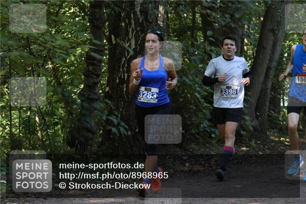28.09.2025 - 33. Volkslauf durch das schöne Alstertal Strokosch-Dieckow http://msf.ph/oto/8968965 28.09.2025 11:19:38 Laufen 3283, 3396, 150 meine-sportfotos.de