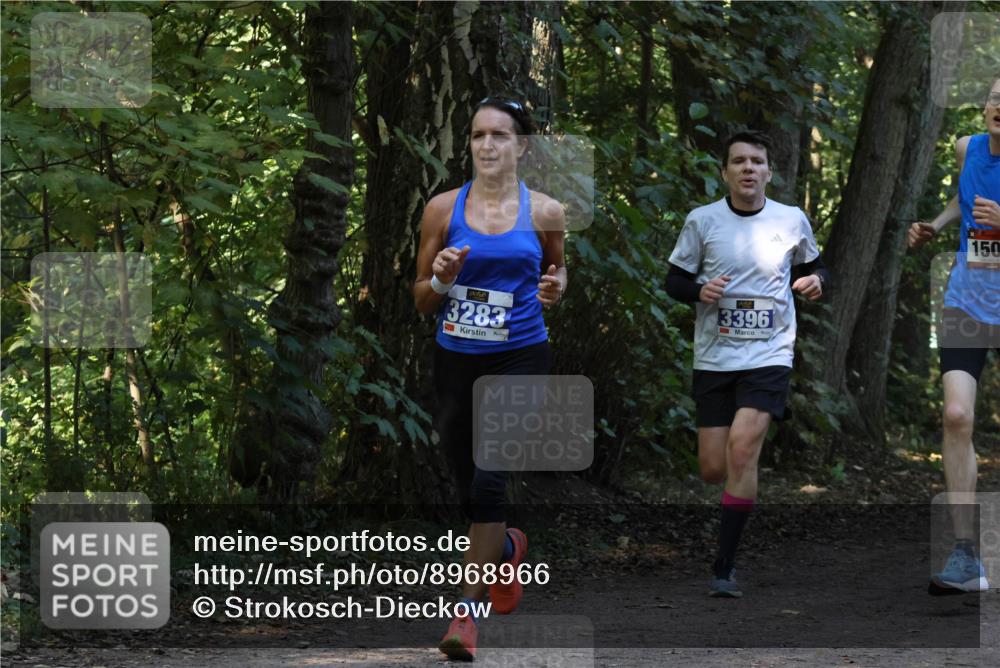 28.09.2025 - 33. Volkslauf durch das schöne Alstertal Strokosch-Dieckow http://msf.ph/oto/8968966 28.09.2025 11:19:38 Laufen 3283, 3396, 150 meine-sportfotos.de