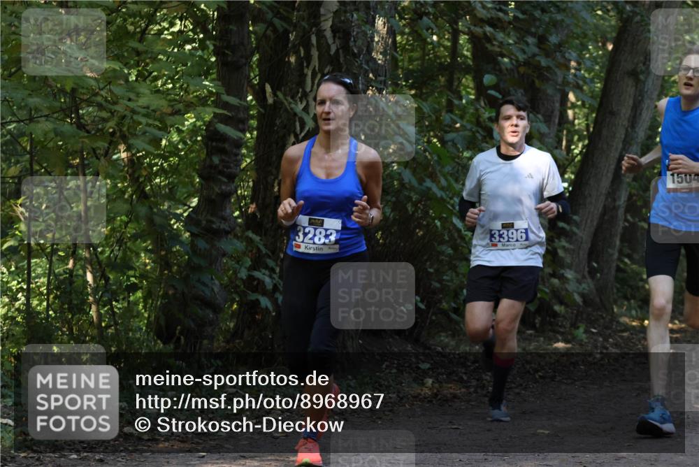 28.09.2025 - 33. Volkslauf durch das schöne Alstertal Strokosch-Dieckow http://msf.ph/oto/8968967 28.09.2025 11:19:38 Laufen 3283, 3396, 3, 1504 meine-sportfotos.de
