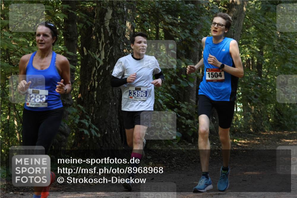 28.09.2025 - 33. Volkslauf durch das schöne Alstertal Strokosch-Dieckow http://msf.ph/oto/8968968 28.09.2025 11:19:38 Laufen 3283, 3396, 1504 meine-sportfotos.de
