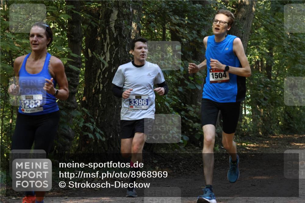 28.09.2025 - 33. Volkslauf durch das schöne Alstertal Strokosch-Dieckow http://msf.ph/oto/8968969 28.09.2025 11:19:39 Laufen 3283, 3396, 1504 meine-sportfotos.de