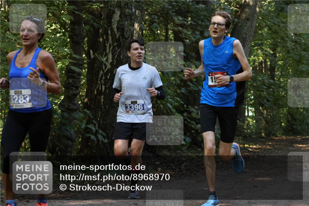 28.09.2025 - 33. Volkslauf durch das schöne Alstertal Strokosch-Dieckow http://msf.ph/oto/8968970 28.09.2025 11:19:39 Laufen 3283, 3396, 15 meine-sportfotos.de