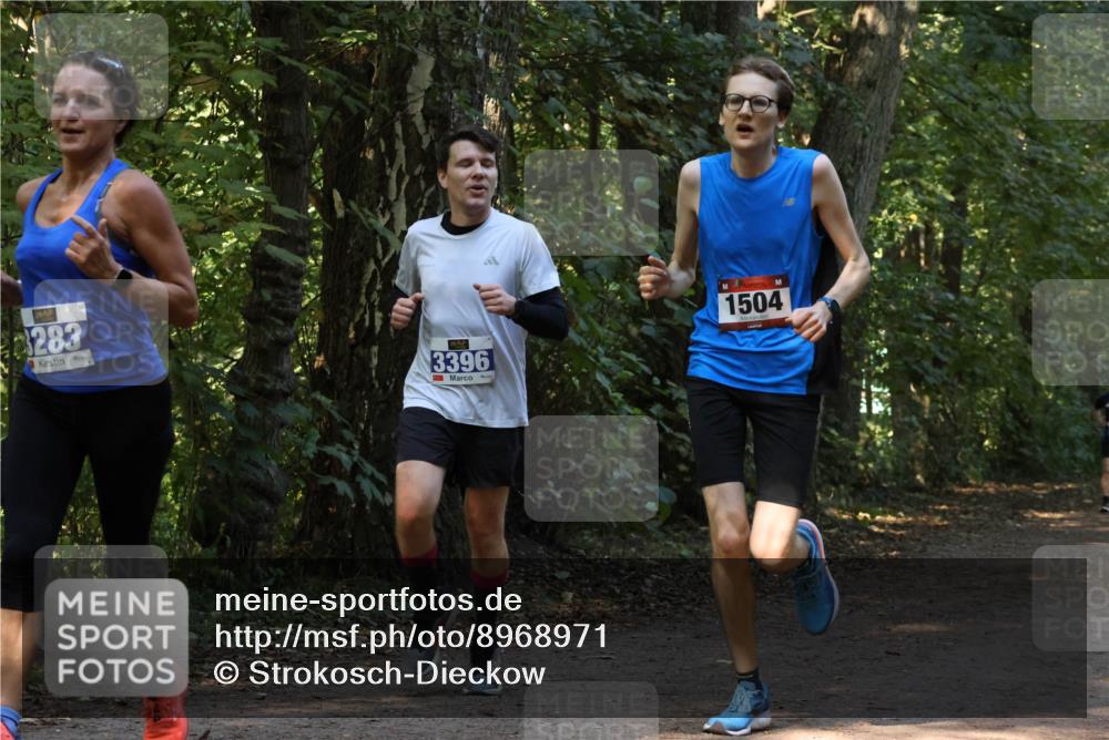28.09.2025 - 33. Volkslauf durch das schöne Alstertal Strokosch-Dieckow http://msf.ph/oto/8968971 28.09.2025 11:19:39 Laufen 8283, 3396, 1504 meine-sportfotos.de