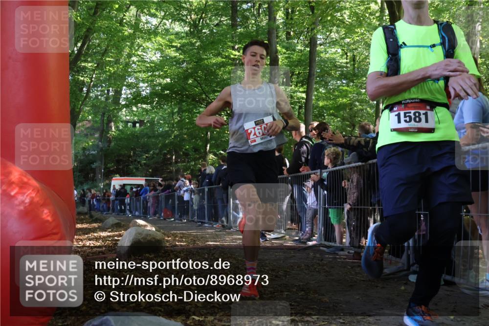 28.09.2025 - 33. Volkslauf durch das schöne Alstertal Strokosch-Dieckow http://msf.ph/oto/8968973 28.09.2025 11:49:21 Ziel 1567, 1581, 2608 meine-sportfotos.de