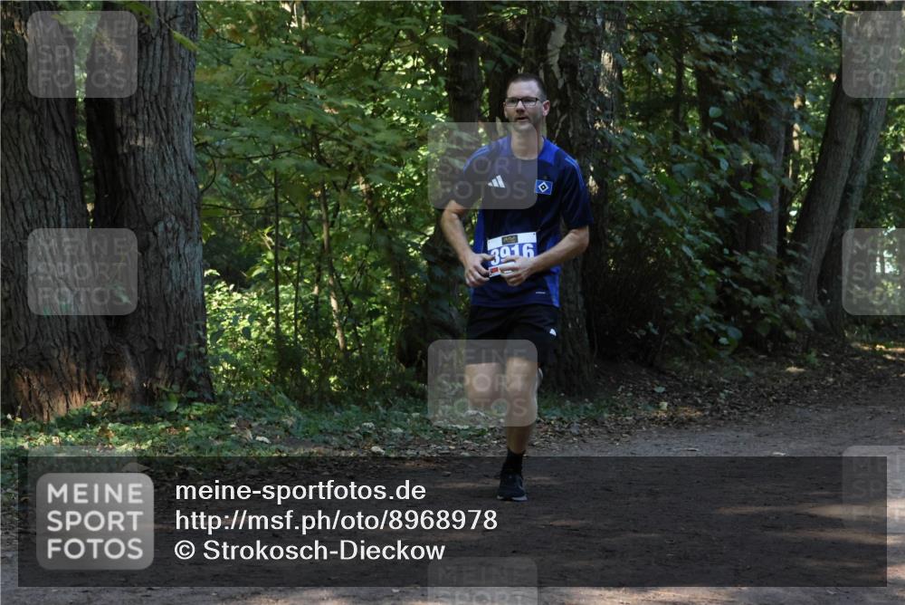 28.09.2025 - 33. Volkslauf durch das schöne Alstertal Strokosch-Dieckow http://msf.ph/oto/8968978 28.09.2025 11:19:49 Laufen 3016 meine-sportfotos.de