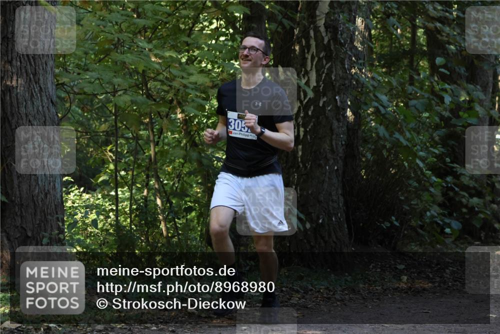 28.09.2025 - 33. Volkslauf durch das schöne Alstertal Strokosch-Dieckow http://msf.ph/oto/8968980 28.09.2025 11:19:56 Laufen 305 meine-sportfotos.de