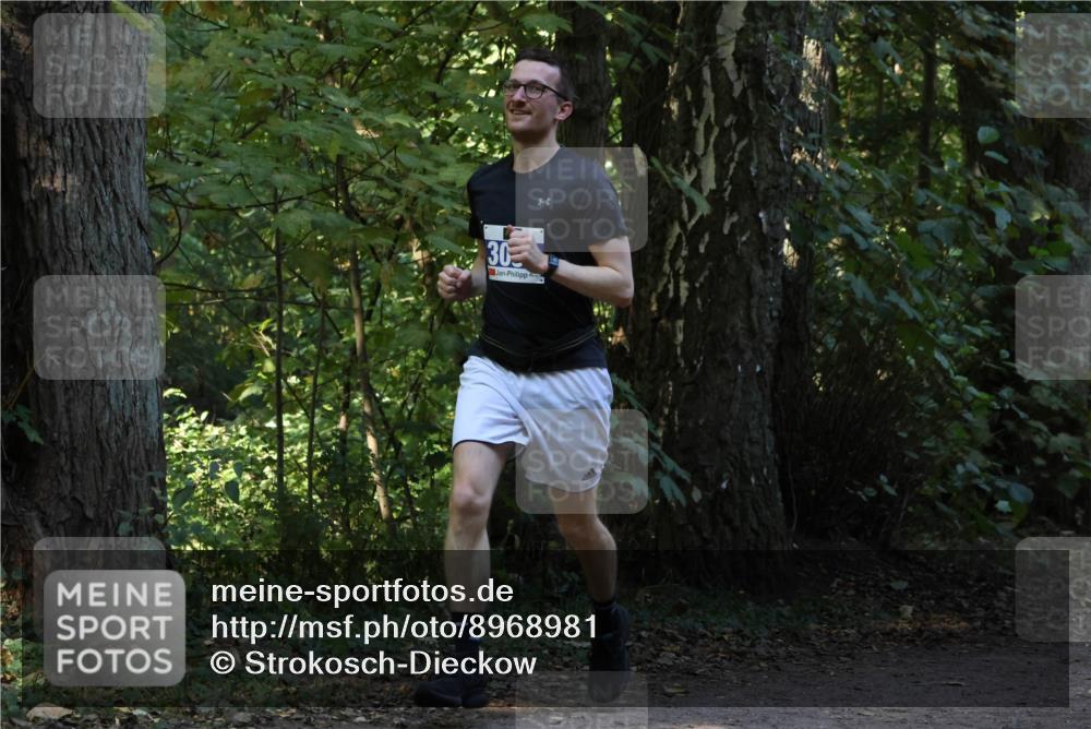 28.09.2025 - 33. Volkslauf durch das schöne Alstertal Strokosch-Dieckow http://msf.ph/oto/8968981 28.09.2025 11:19:56 Laufen 30 meine-sportfotos.de