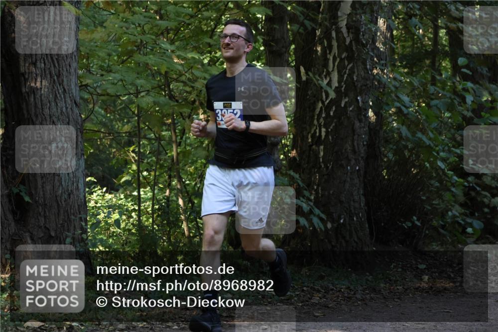 28.09.2025 - 33. Volkslauf durch das schöne Alstertal Strokosch-Dieckow http://msf.ph/oto/8968982 28.09.2025 11:19:56 Laufen 32, 2 meine-sportfotos.de