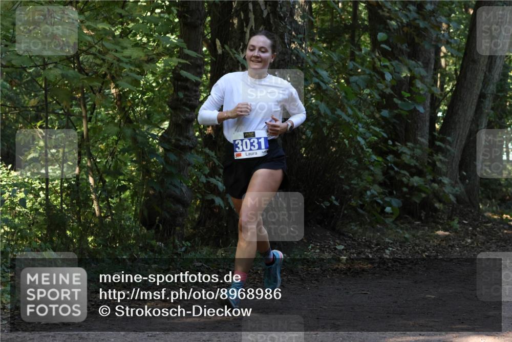 28.09.2025 - 33. Volkslauf durch das schöne Alstertal Strokosch-Dieckow http://msf.ph/oto/8968986 28.09.2025 11:19:58 Laufen 3031 meine-sportfotos.de