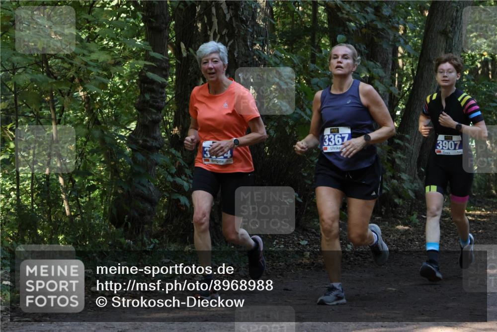 28.09.2025 - 33. Volkslauf durch das schöne Alstertal Strokosch-Dieckow http://msf.ph/oto/8968988 28.09.2025 11:20:04 Laufen 3367, 3907 meine-sportfotos.de