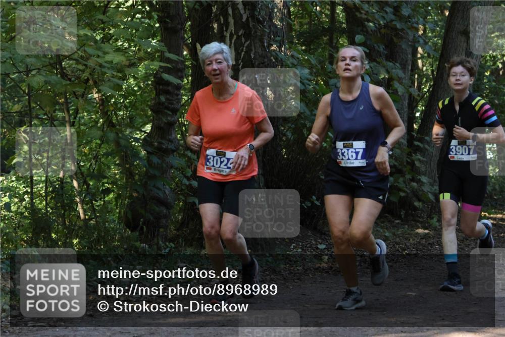 28.09.2025 - 33. Volkslauf durch das schöne Alstertal Strokosch-Dieckow http://msf.ph/oto/8968989 28.09.2025 11:20:04 Laufen 3024, 3367, 3907 meine-sportfotos.de