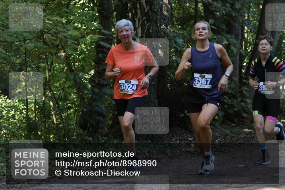 28.09.2025 - 33. Volkslauf durch das schöne Alstertal Strokosch-Dieckow http://msf.ph/oto/8968990 28.09.2025 11:20:05 Laufen 3024, 3367, 39 meine-sportfotos.de