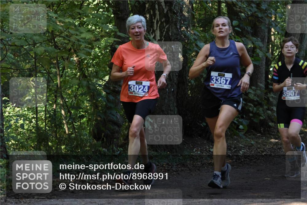 28.09.2025 - 33. Volkslauf durch das schöne Alstertal Strokosch-Dieckow http://msf.ph/oto/8968991 28.09.2025 11:20:05 Laufen 3024, 3367, 3907 meine-sportfotos.de