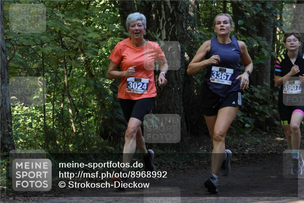 28.09.2025 - 33. Volkslauf durch das schöne Alstertal Strokosch-Dieckow http://msf.ph/oto/8968992 28.09.2025 11:20:05 Laufen 3024, 3, 3367, 3907 meine-sportfotos.de