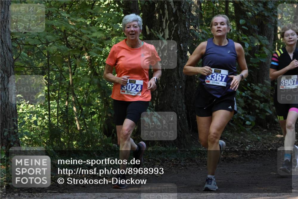 28.09.2025 - 33. Volkslauf durch das schöne Alstertal Strokosch-Dieckow http://msf.ph/oto/8968993 28.09.2025 11:20:05 Laufen 3024, 3367, 3907 meine-sportfotos.de