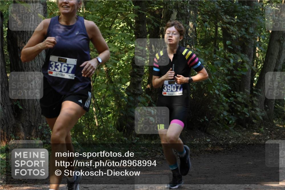 28.09.2025 - 33. Volkslauf durch das schöne Alstertal Strokosch-Dieckow http://msf.ph/oto/8968994 28.09.2025 11:20:06 Laufen 3367, 3907 meine-sportfotos.de