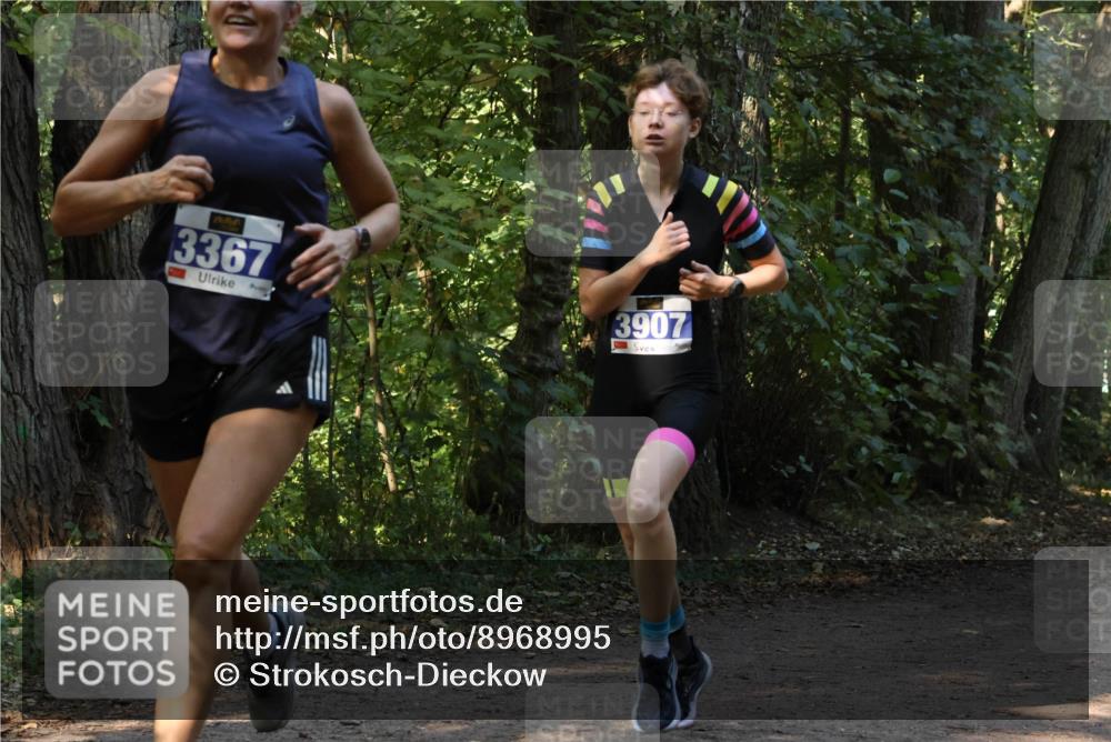 28.09.2025 - 33. Volkslauf durch das schöne Alstertal Strokosch-Dieckow http://msf.ph/oto/8968995 28.09.2025 11:20:06 Laufen 3367, 3907 meine-sportfotos.de