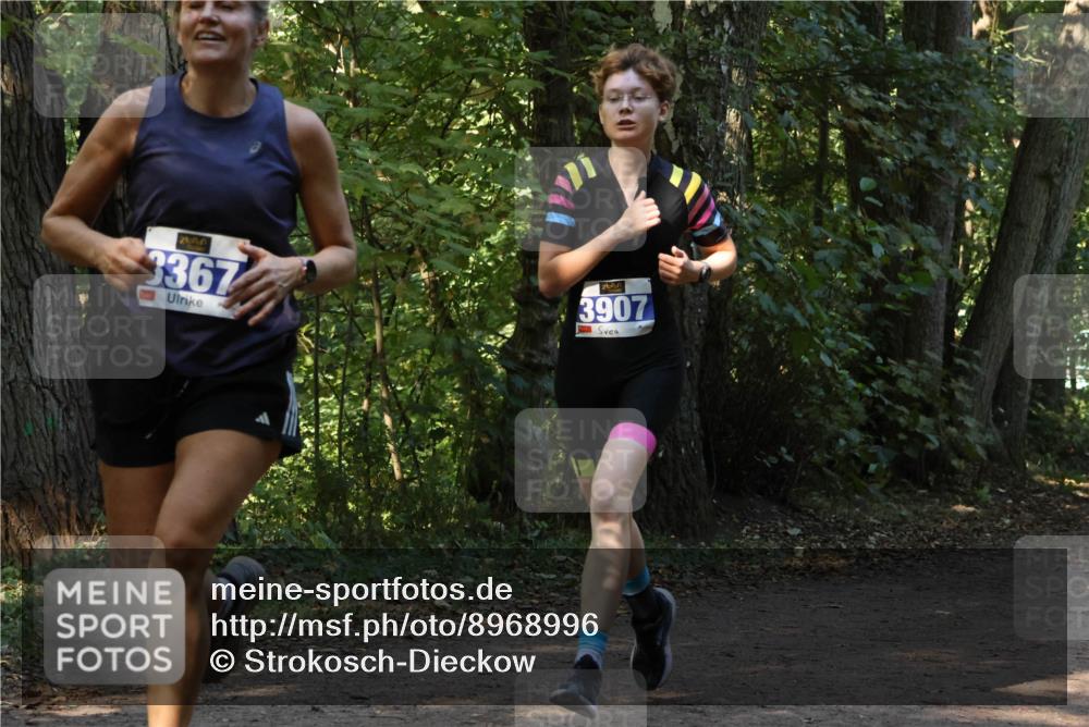 28.09.2025 - 33. Volkslauf durch das schöne Alstertal Strokosch-Dieckow http://msf.ph/oto/8968996 28.09.2025 11:20:06 Laufen 3367, 3907 meine-sportfotos.de