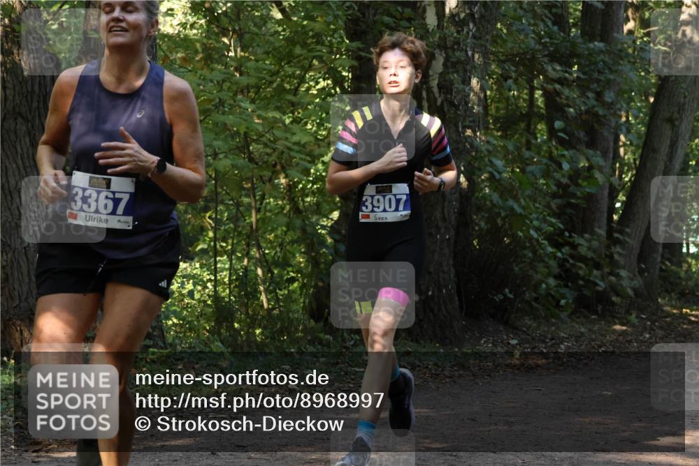28.09.2025 - 33. Volkslauf durch das schöne Alstertal Strokosch-Dieckow http://msf.ph/oto/8968997 28.09.2025 11:20:06 Laufen 3367, 3907 meine-sportfotos.de