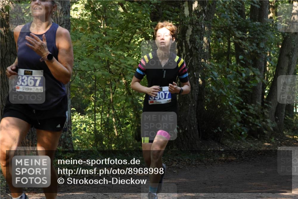 28.09.2025 - 33. Volkslauf durch das schöne Alstertal Strokosch-Dieckow http://msf.ph/oto/8968998 28.09.2025 11:20:06 Laufen 3367, 5907 meine-sportfotos.de