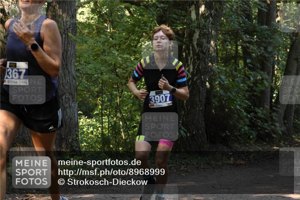 28.09.2025 - 33. Volkslauf durch das schöne Alstertal Strokosch-Dieckow http://msf.ph/oto/8968999 28.09.2025 11:20:06 Laufen 367, 3907 meine-sportfotos.de