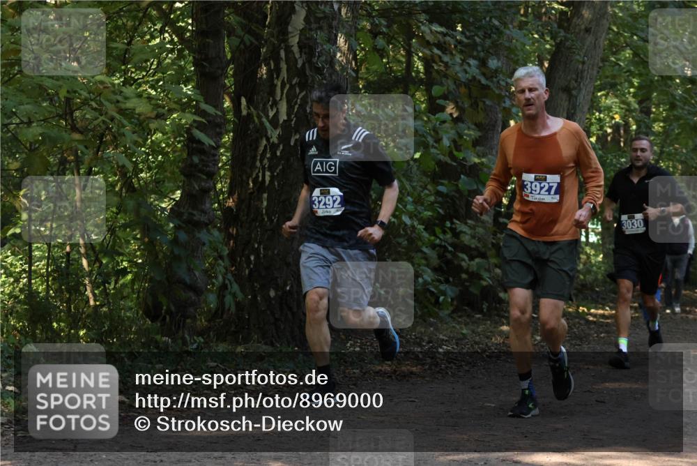 28.09.2025 - 33. Volkslauf durch das schöne Alstertal Strokosch-Dieckow http://msf.ph/oto/8969000 28.09.2025 11:20:16 Laufen 3292, 3927, 3030 meine-sportfotos.de