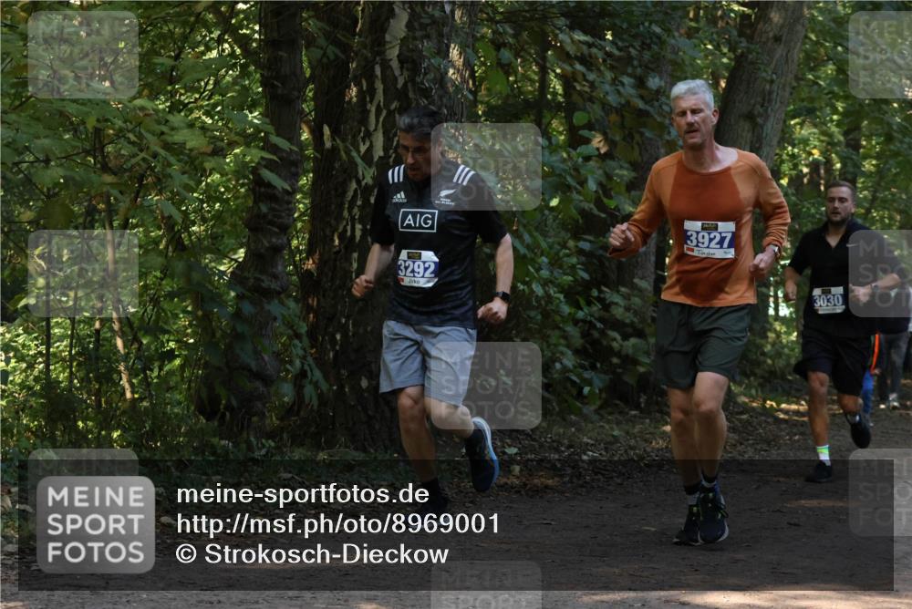 28.09.2025 - 33. Volkslauf durch das schöne Alstertal Strokosch-Dieckow http://msf.ph/oto/8969001 28.09.2025 11:20:16 Laufen 3292, 3927, 3030 meine-sportfotos.de