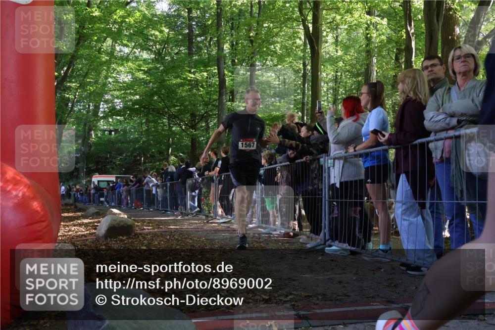 28.09.2025 - 33. Volkslauf durch das schöne Alstertal Strokosch-Dieckow http://msf.ph/oto/8969002 28.09.2025 11:49:22 Ziel 1567 meine-sportfotos.de
