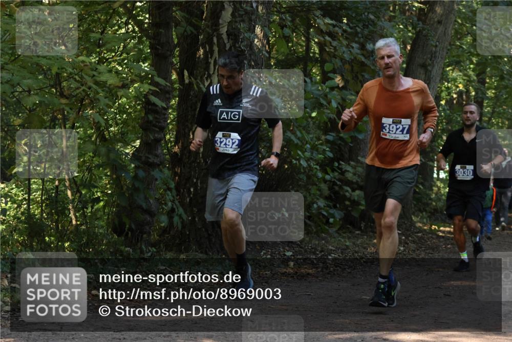 28.09.2025 - 33. Volkslauf durch das schöne Alstertal Strokosch-Dieckow http://msf.ph/oto/8969003 28.09.2025 11:20:16 Laufen 3292, 3927, 3030 meine-sportfotos.de