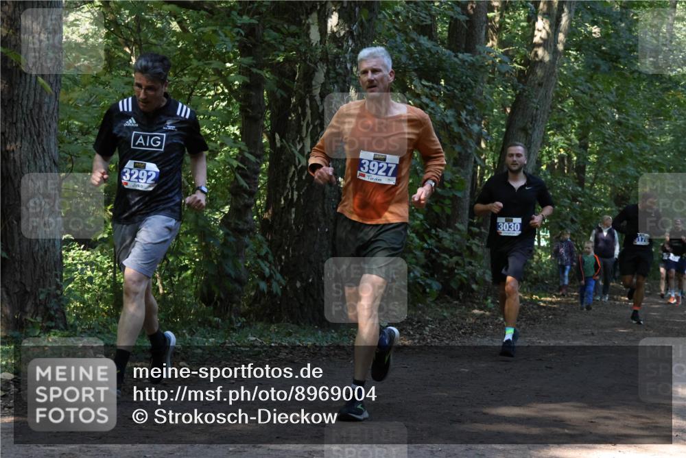 28.09.2025 - 33. Volkslauf durch das schöne Alstertal Strokosch-Dieckow http://msf.ph/oto/8969004 28.09.2025 11:20:17 Laufen 3292, 3927, 3030, 176 meine-sportfotos.de