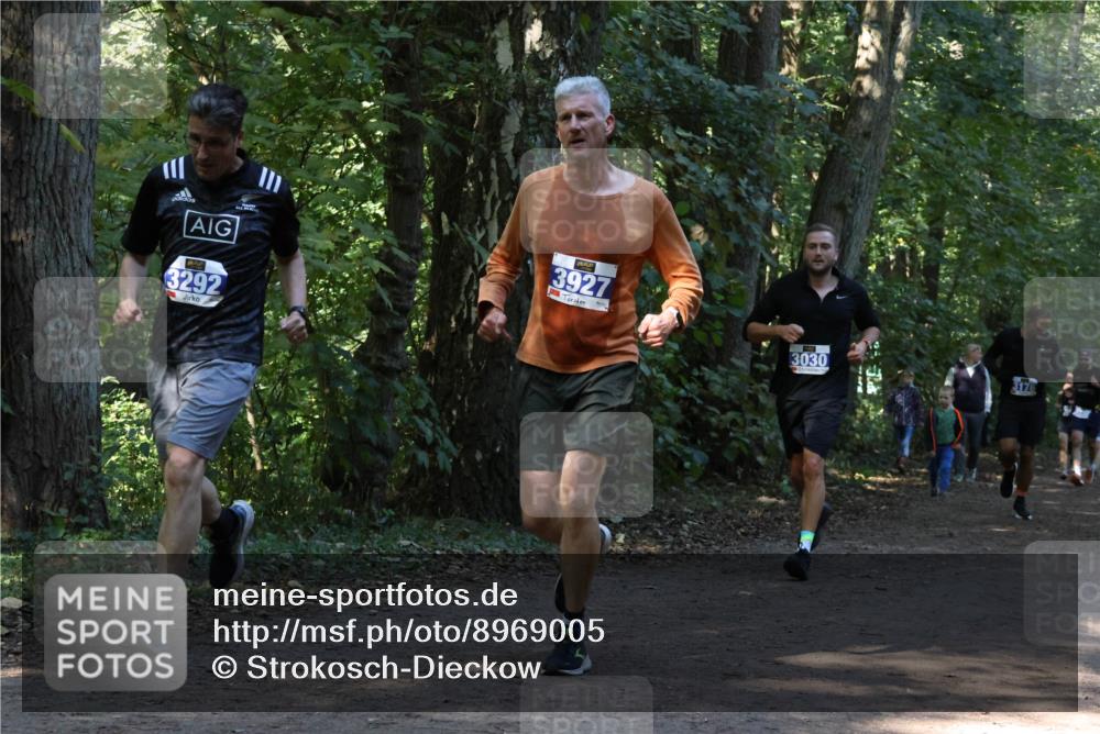 28.09.2025 - 33. Volkslauf durch das schöne Alstertal Strokosch-Dieckow http://msf.ph/oto/8969005 28.09.2025 11:20:17 Laufen 3292, 3927, 3030, 3176 meine-sportfotos.de