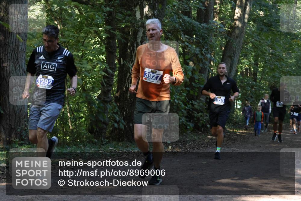 28.09.2025 - 33. Volkslauf durch das schöne Alstertal Strokosch-Dieckow http://msf.ph/oto/8969006 28.09.2025 11:20:17 Laufen 3927, 3292, 3030, 3176 meine-sportfotos.de