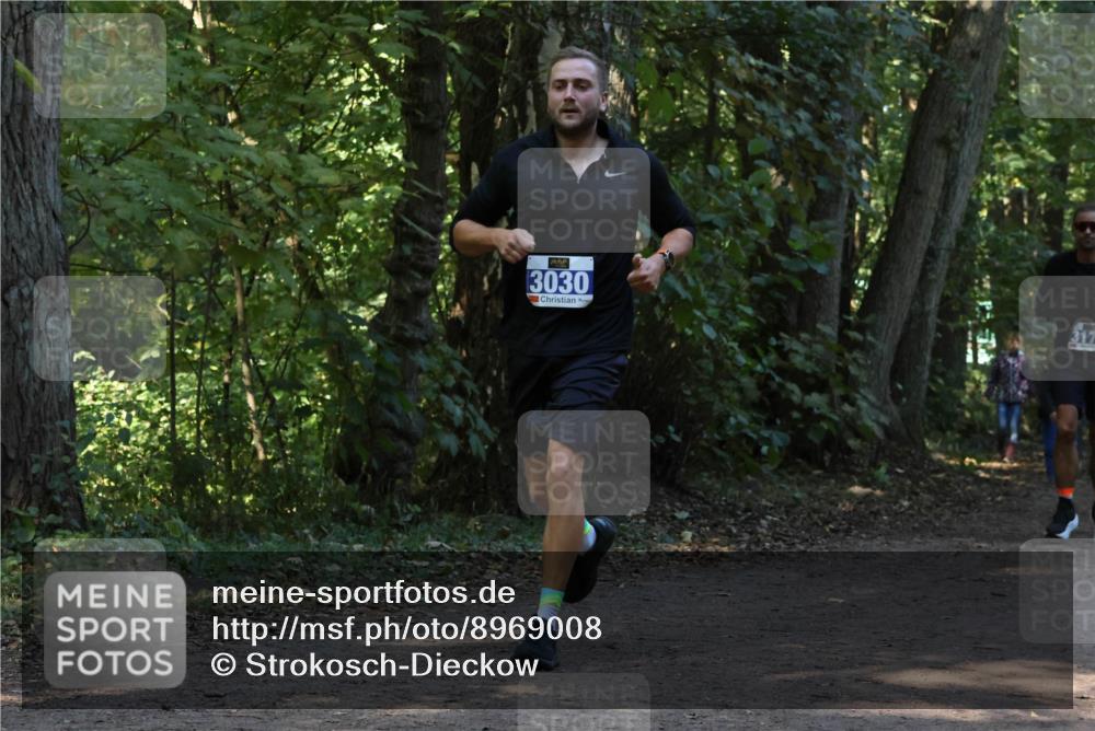 28.09.2025 - 33. Volkslauf durch das schöne Alstertal Strokosch-Dieckow http://msf.ph/oto/8969008 28.09.2025 11:20:18 Laufen 3030, 317 meine-sportfotos.de