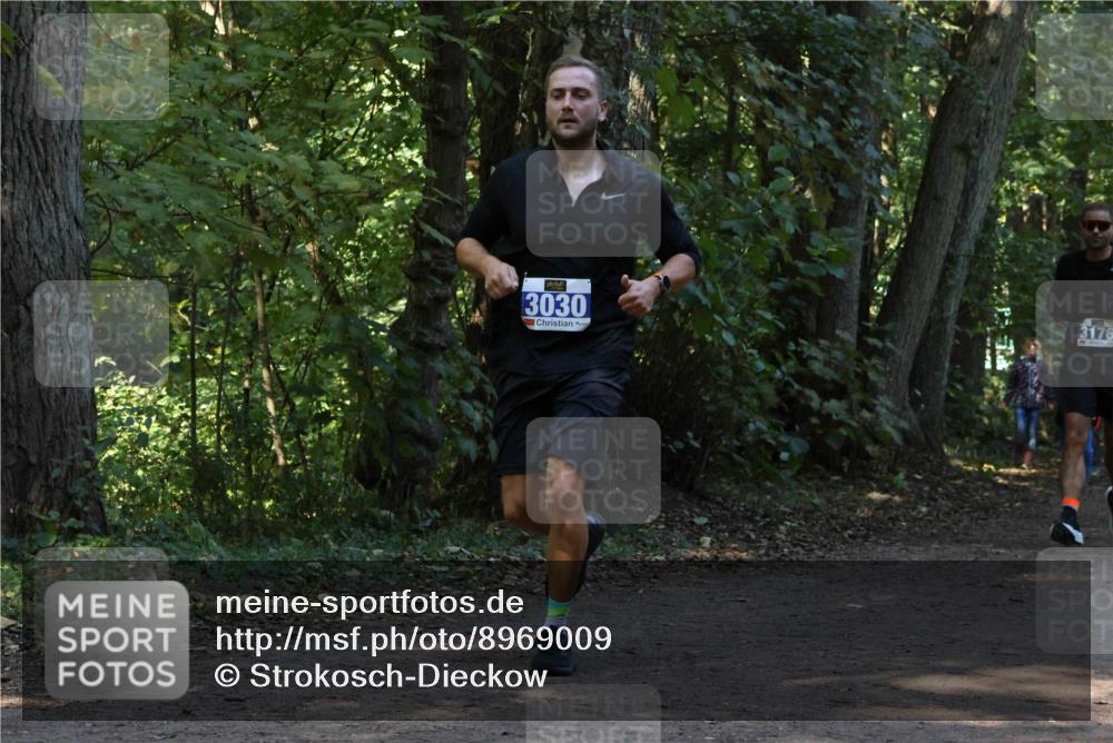 28.09.2025 - 33. Volkslauf durch das schöne Alstertal Strokosch-Dieckow http://msf.ph/oto/8969009 28.09.2025 11:20:19 Laufen 3030, 3176 meine-sportfotos.de
