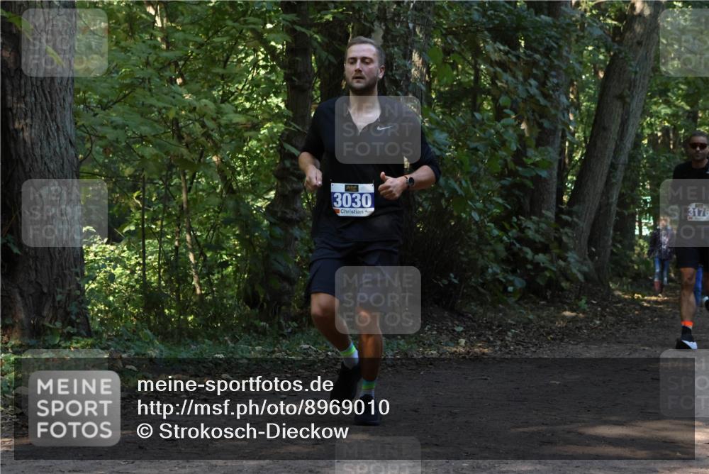 28.09.2025 - 33. Volkslauf durch das schöne Alstertal Strokosch-Dieckow http://msf.ph/oto/8969010 28.09.2025 11:20:19 Laufen 3030, 3176 meine-sportfotos.de