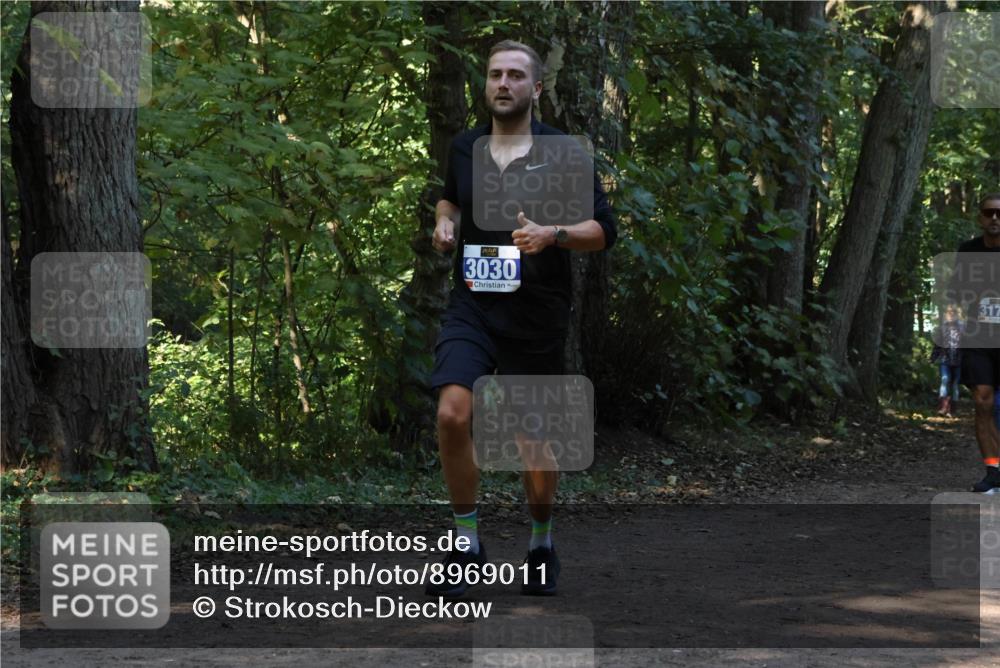 28.09.2025 - 33. Volkslauf durch das schöne Alstertal Strokosch-Dieckow http://msf.ph/oto/8969011 28.09.2025 11:20:19 Laufen 3030, 317 meine-sportfotos.de