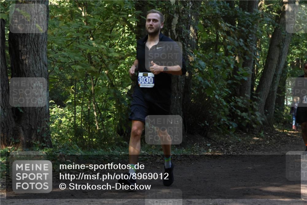 28.09.2025 - 33. Volkslauf durch das schöne Alstertal Strokosch-Dieckow http://msf.ph/oto/8969012 28.09.2025 11:20:19 Laufen 3030 meine-sportfotos.de